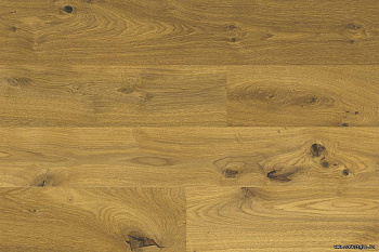 Клеевые пробковые полы Wood XL Oak Knotty