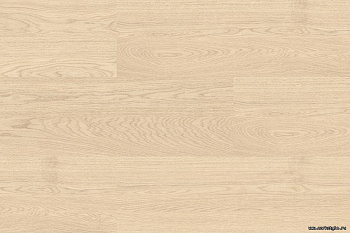 Клеевой пробковый пол с фотопечатью WOOD Oak Crème
