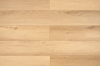 My Step Aqua Гленн MSA119