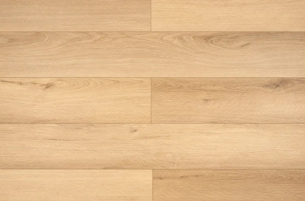 My Step Aqua Гленн MSA119