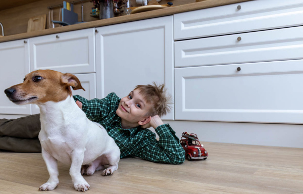 Ламинат MSPC Дуб Хантер К0061-2 MP