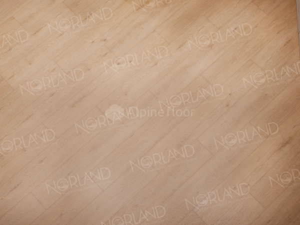 Кварцвиниловая плитка Alpine Floor SIGRID SUPERIOR 1008-6 ABA Eli