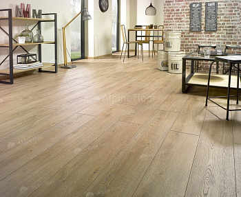 Ламинат Homflor Distingo Cajun Oak 535