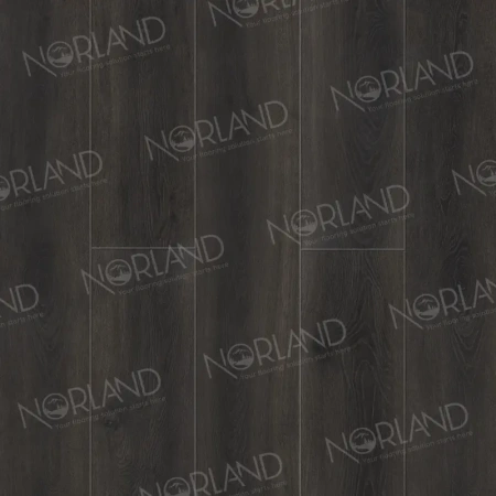 Камено-полимерный ламинат SPC PRO Alpine Floor NeoWood 2001-5 Rondane