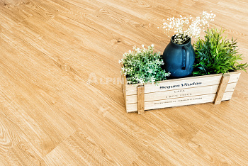 Кварцвиниловая плитка Alpine Floor ECO 6-4 Sequoia (SPC или LVT) Royal