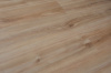 SPC ламинат Evofloor Optima Click - Pear Cappucino (Груша Капучино)