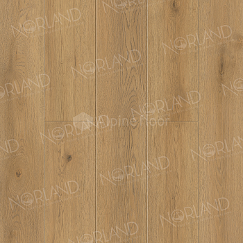 Кварцвиниловая плитка Alpine Floor SIGRID PLUS 1006-10 Blake