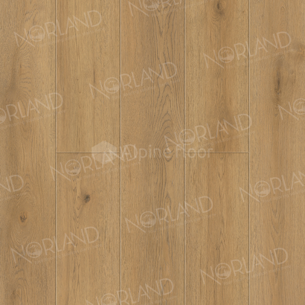 Кварцвиниловая плитка Alpine Floor SIGRID PLUS 1006-10 Blake