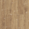 Клеевая кварцвиниловая плитка Alpine Floor Макадамия ECO 11-1002