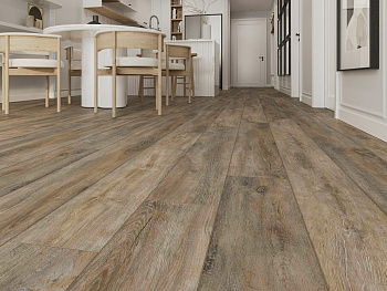 SPC ламинат Evofloor Home -   Oak Ashen (Дуб Пепельный)