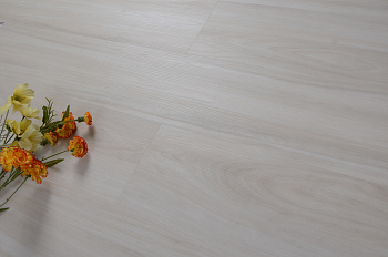 SPC ламинат Evofloor Optima Click - Oak Ivory (Дуб Айвори)