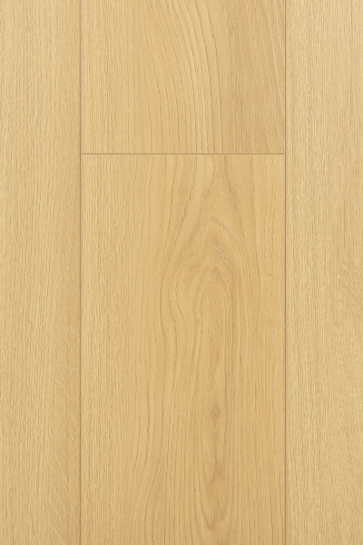 Ламинат FirstFloor 4D Дуб Лояль 1F403