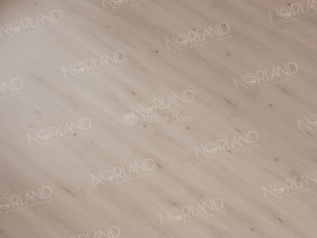 Клеевая кварцвиниловая плитка Alpine Floor Таинственная Сигрид LVT (Sigrid LVT) Alante 1003-5