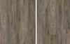 SPC ламинат Evofloor Home -   Oak Ashen (Дуб Пепельный)