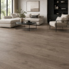 SPC ламинат Steinholz Франц (Franz) STH031
