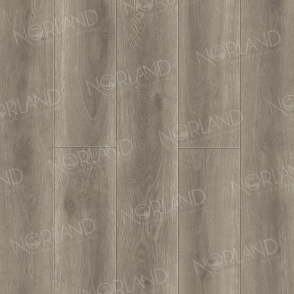 Камено-полимерный ламинат SPC PRO Alpine Floor NeoWood 2001-6 Templet